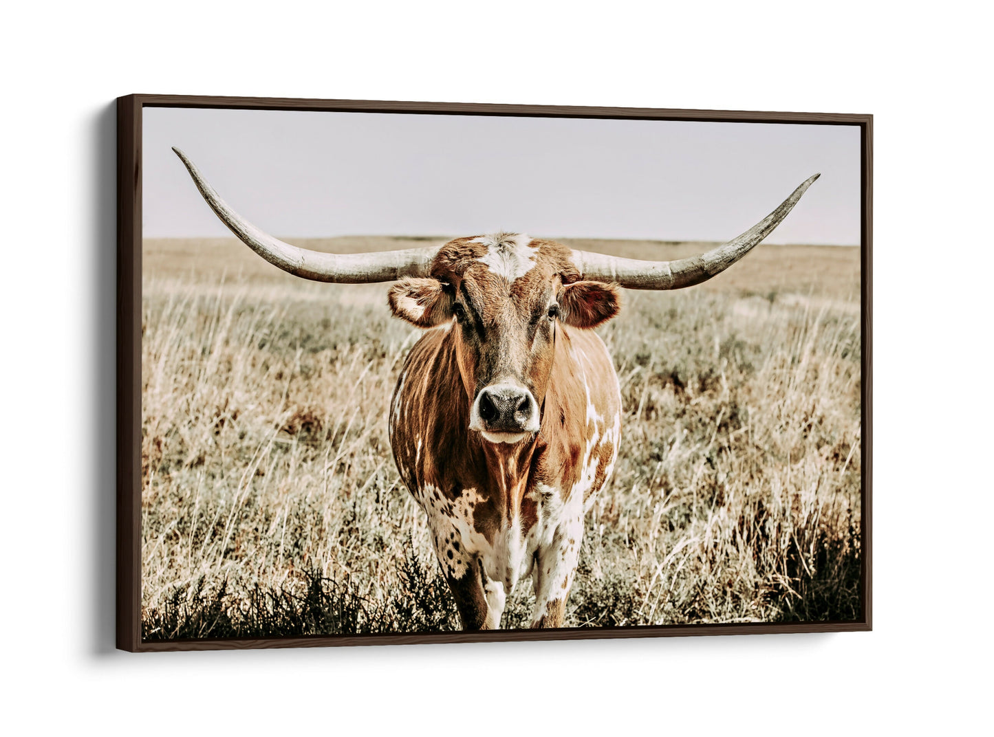 Texas Longhorn Cow Canvas Wall Art - Unframed or with Solid Wood Float Frame