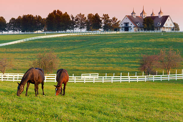 Farm/Ranch