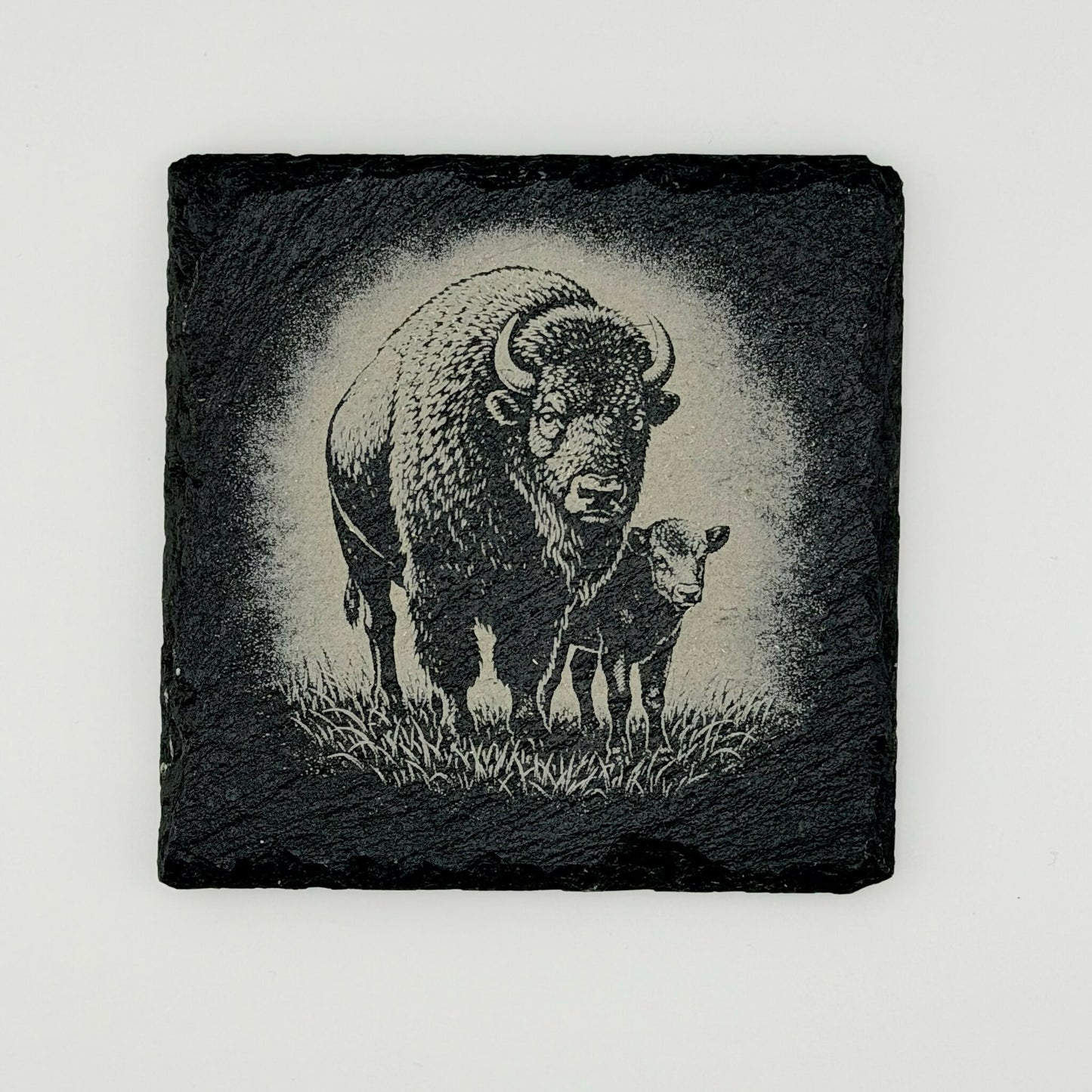American Bison Slate Coasters - 6 Sets of 4 Coasters