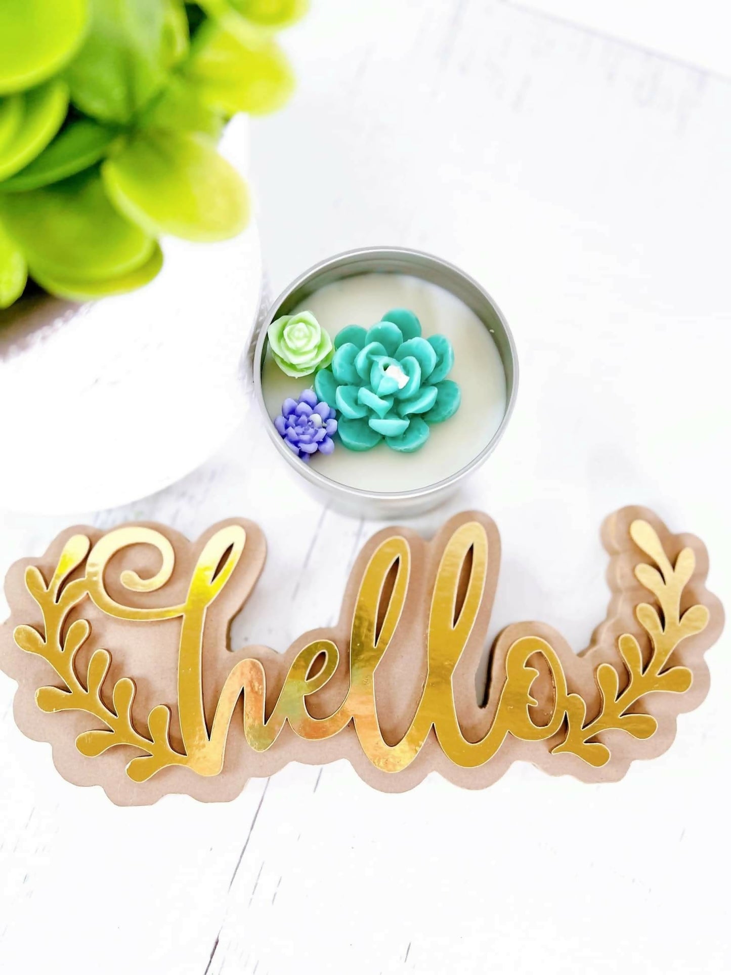 Succulent candle