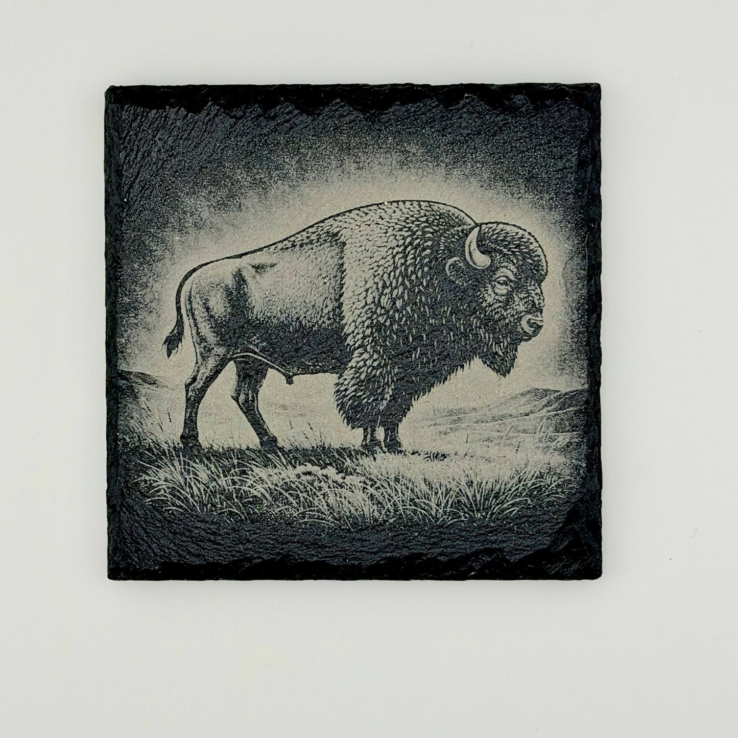 American Bison Slate Coasters - 6 Sets of 4 Coasters