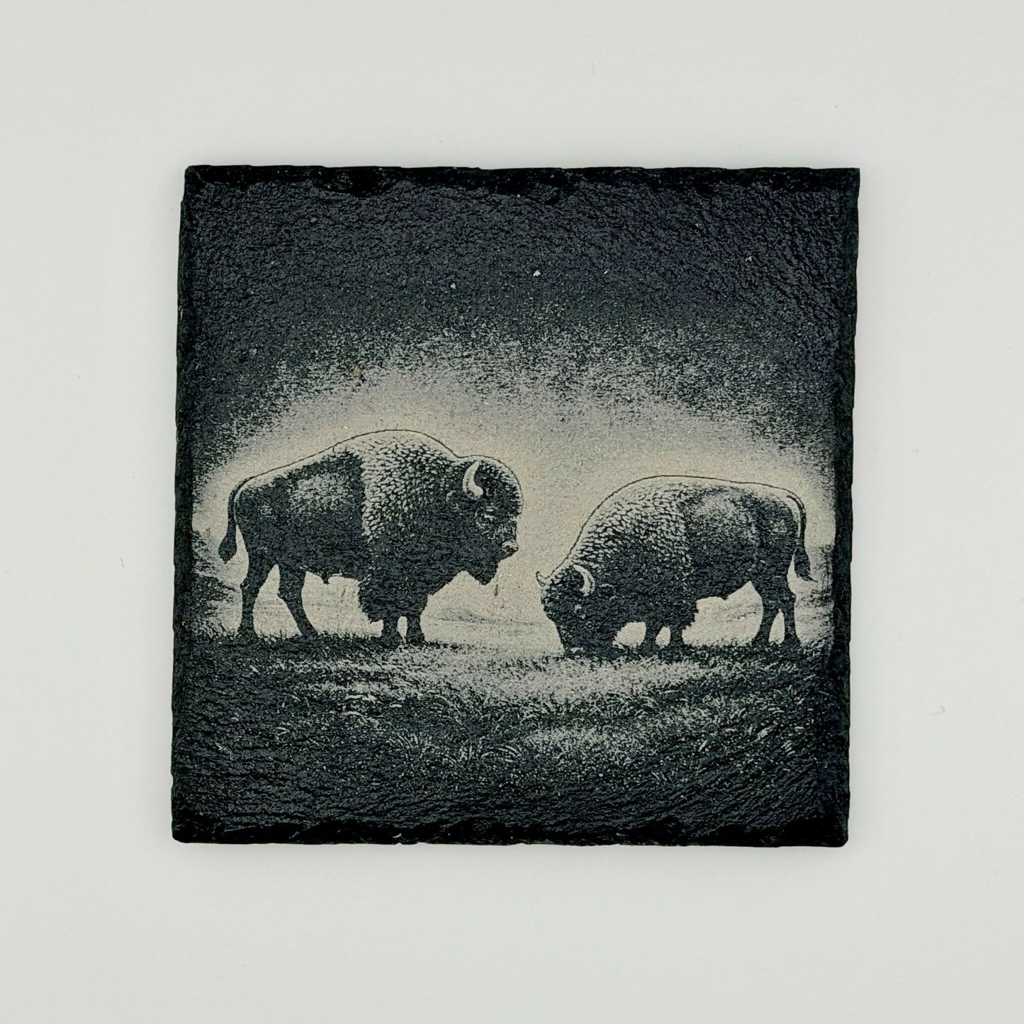 American Bison Slate Coasters - 6 Sets of 4 Coasters